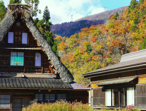 赤尾館の道路を挟んだ向かいには、国の重要文化財に指定されている五箇山最大の合掌造り家屋「岩瀬家」があるため、近年では、インバウンド観光客のツアーバスが度々訪れます。岩瀬家の隣には大型バスが4台停車できる市の駐車場が整備されており、赤尾館の周辺は五箇山地域のなかでも観光客の往来が多いエリアとなっています。